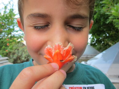 Un enfant renifle une fleur de grenadier en fermant les yeux