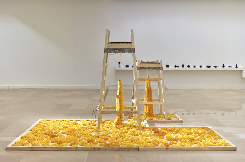 Installation composée avec bougies en forme de fleurs de lotus