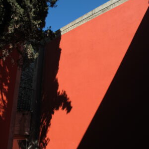 dans le patio aux murs ocre rouge, vue sur un cyprès et un triangle de ciel bleu