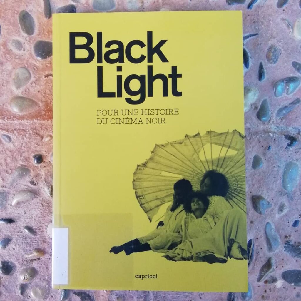 Black light : pour une histoire du cinéma noir