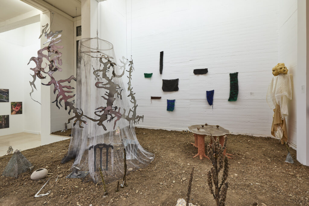 de la terre au sol, des sculptures suspendues, posées au sol ou disposées sur les murs